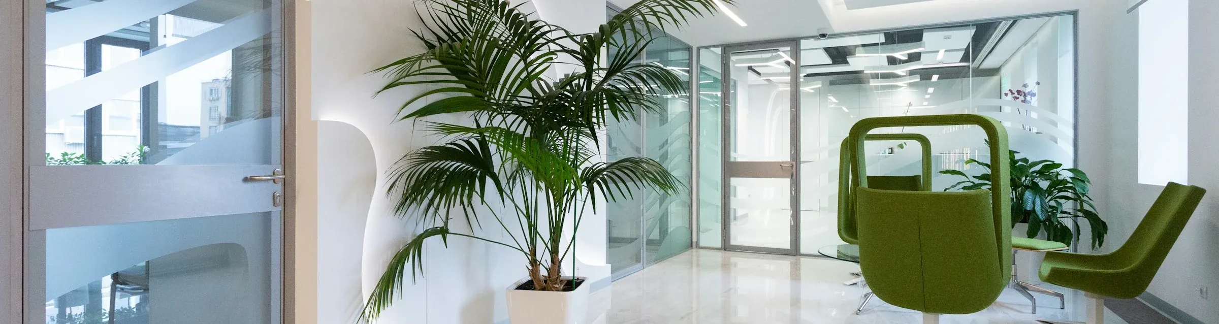 Palm i vit kruka i en ljus kontorsentré